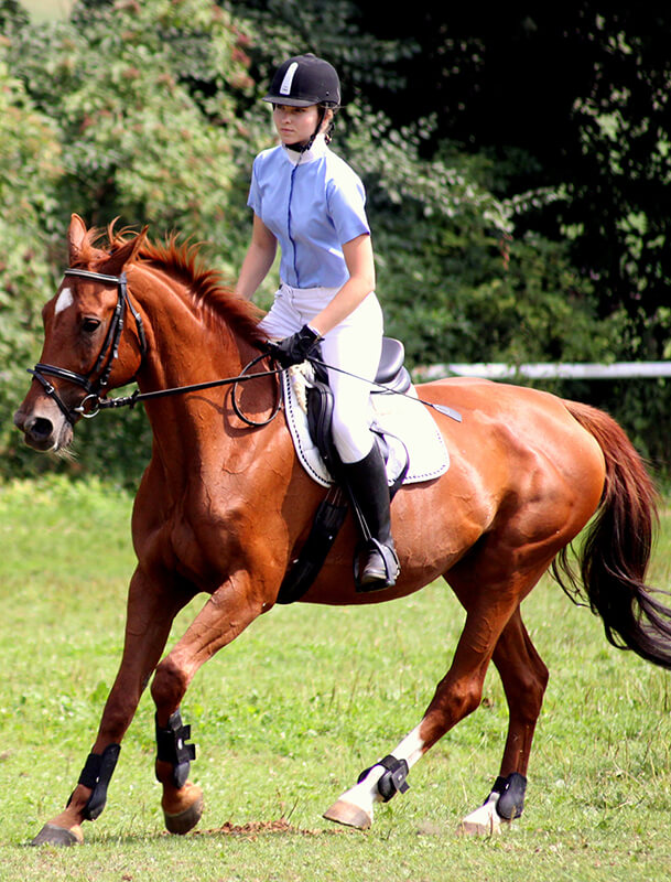 trenerka efib podczas jazdy konnej w tradycyjnym stroju jeździeckim. kurs jazdy konnej jeździectwa pzj poznań