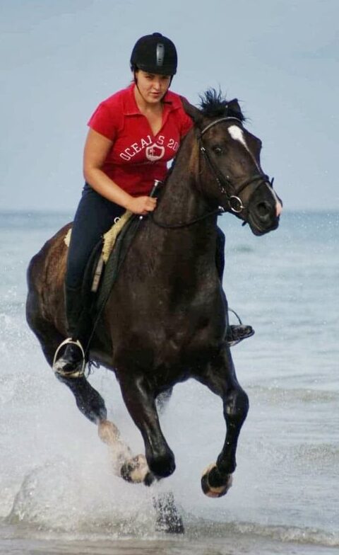 Instruktor efib podczas jazdy konnej na brzegu morza. jazda konna jeździectwo kurs instruktora